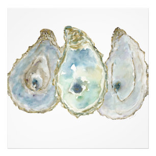 Mobile Bay Oysters-3 Photo Print