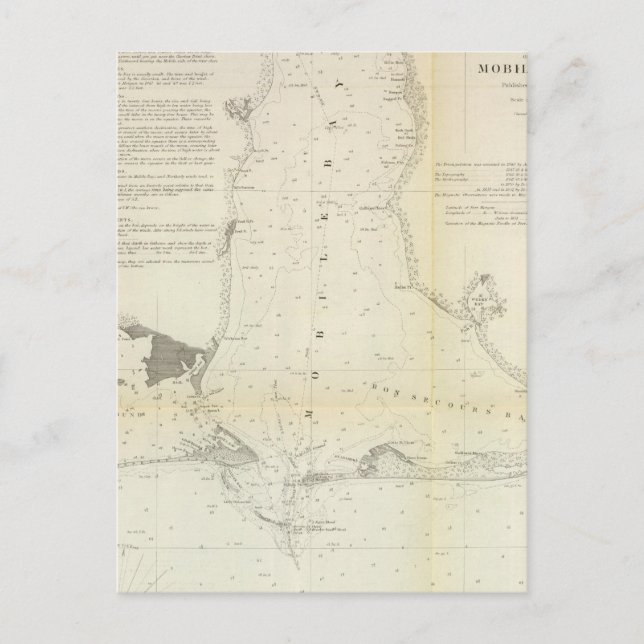 Mobile Bay Postcard (Front)