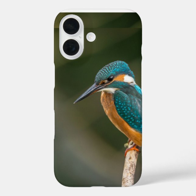 Mobile phone case (Back)