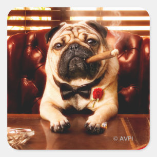 Mobster Dog Square Sticker