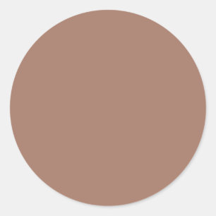 Mocha Mousse Solid Colour Classic Round Sticker