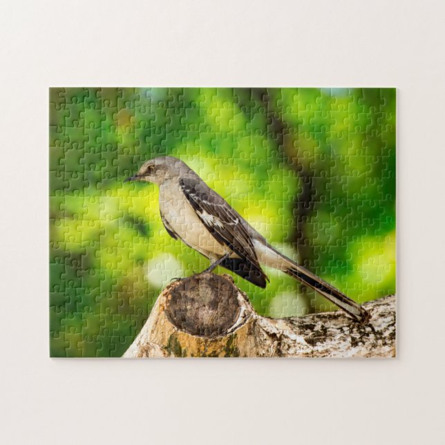 Mocking Bird Florida. Jigsaw Puzzle (Horizontal)