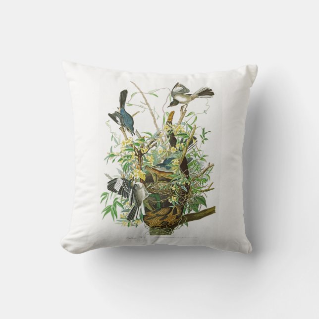 Mocking Bird John James Audubon Birds of America Cushion (Front)