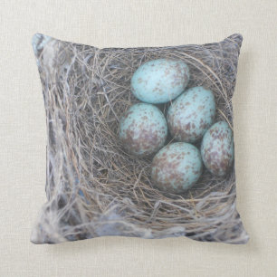 Mocking Bird Nest with Eggs Cushion