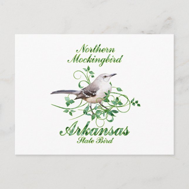 Mockingbird Arkansas State Bird Postcard (Front)