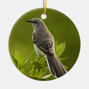 Mockingbird Bird Lovers Gifts Ceramic Tree Decoration