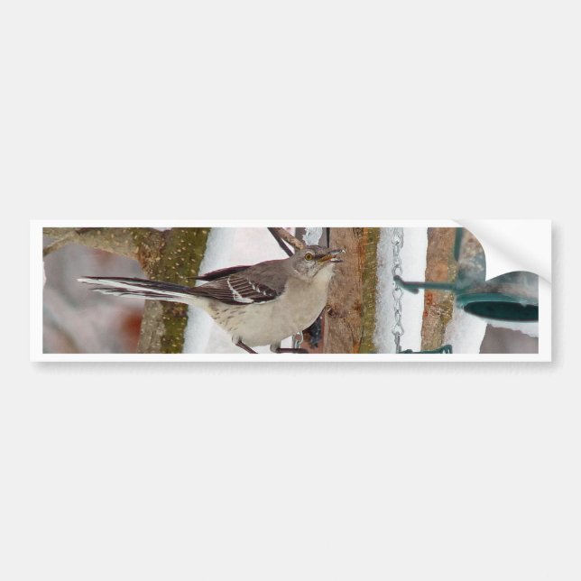 Mockingbird Bumper Sticker (Front)