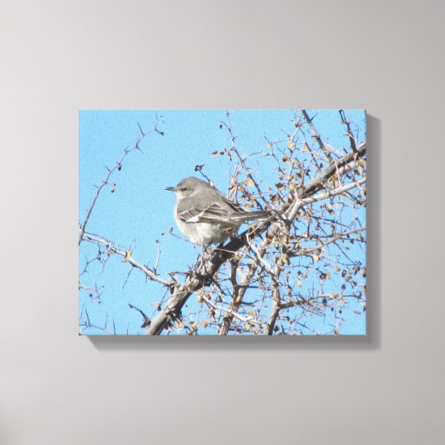 Mockingbird Canvas Print (Front)