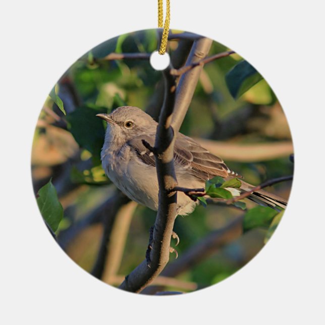 Mockingbird Ceramic Tree Decoration (Front)