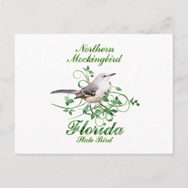 Mockingbird Florida State Bird Postcard (Front)