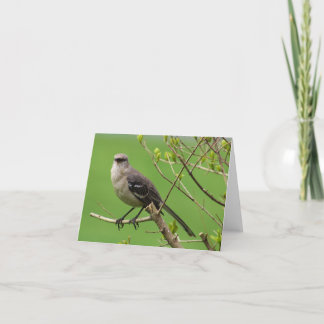 Mockingbird Note Card