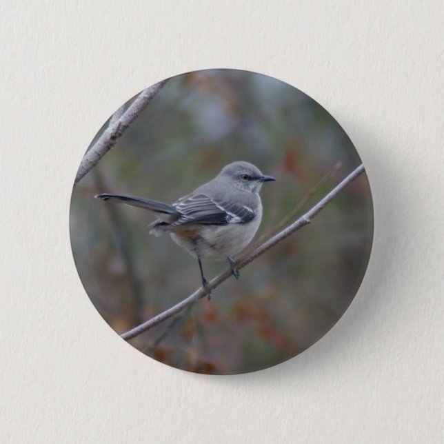 Mockingbird Ornithology 6 Cm Round Badge (Front)