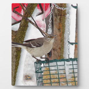 Mockingbird Plaque