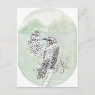 Mockingbird Postcard