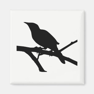 Mockingbird Silhouette Magnet