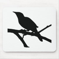 Mockingbird Silhouette