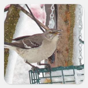 Mockingbird Square Sticker