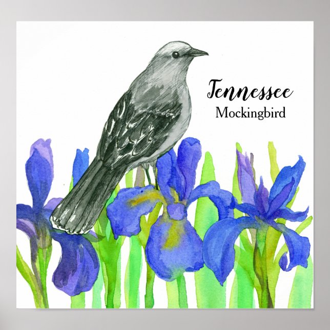 Mockingbird State Bird of Tennessee Poster (Front)