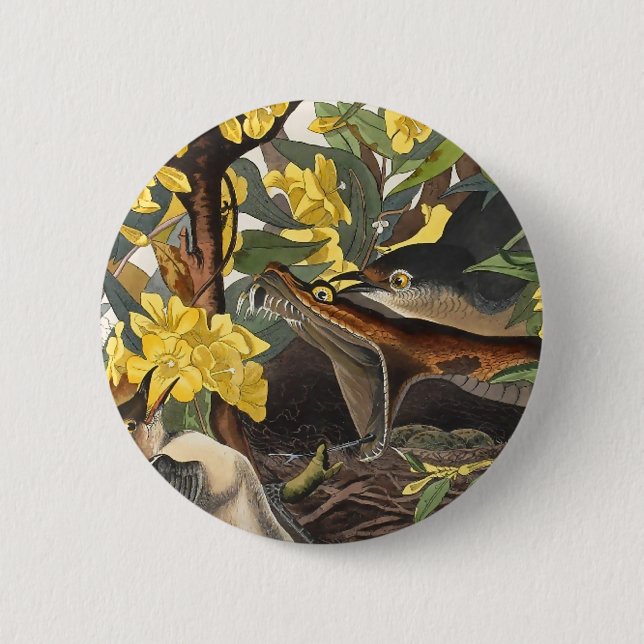 Mockingbirds, John James Audubon 6 Cm Round Badge (Front)