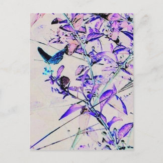 Mod Butterfly - Postcard