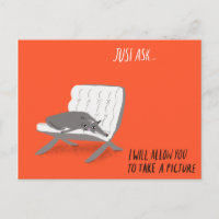 Mod Cats - Just Ask