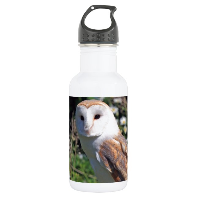 Mod Chic Classy Destiny Owl 532 Ml Water Bottle (Front)