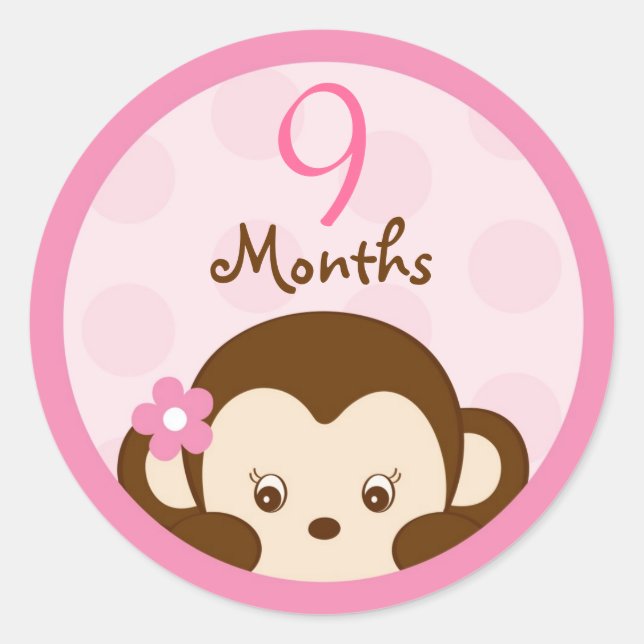 Mod Girl Monkey Monthly Milestone Stickers (Front)
