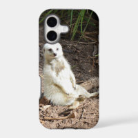 Model in the Wild: White Meerkat Posing for Camera