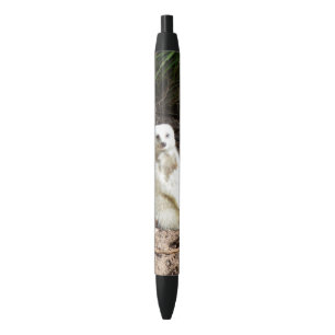 Model in the Wild: White Meerkat Posing for Camera Black Ink Pen