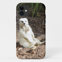 Model in the Wild: White Meerkat Posing for Camera