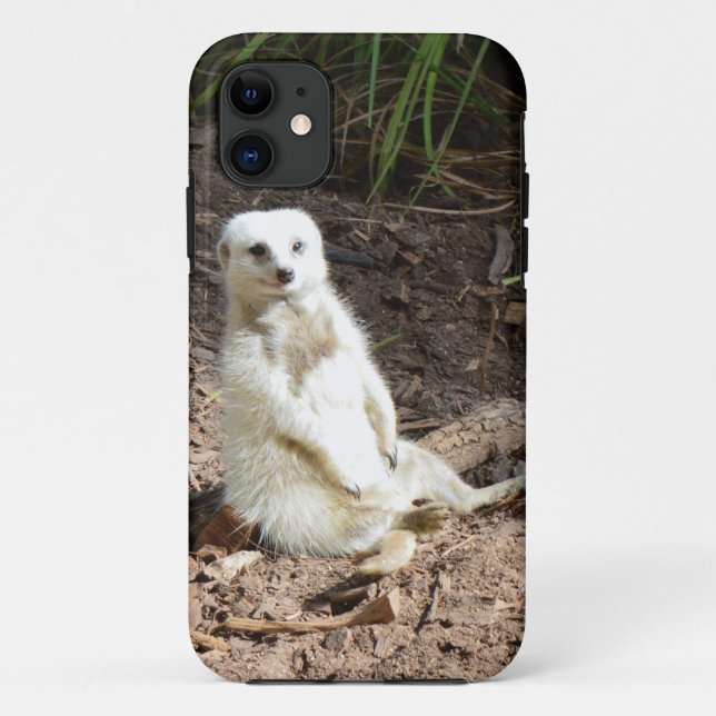 Model in the Wild: White Meerkat Posing for Camera Case-Mate iPhone Case (Back)