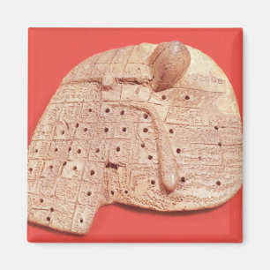 Model of a sheep's liver magnet