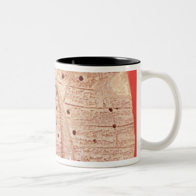 Model of a sheep's liver Two-Tone coffee mug (Right)