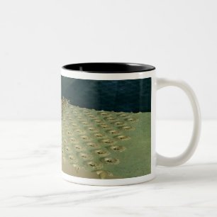Model of Caesar's defences at Alesia Two-Tone Coffee Mug