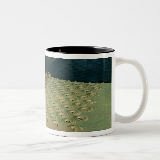 Model of Caesar's defences at Alesia Two-Tone Coffee Mug (Right)