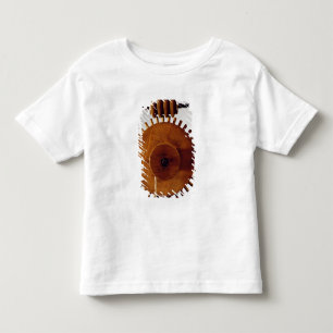 Model reconstruction of da Vinci's design Toddler T-Shirt