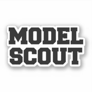 MODEL SCOUT