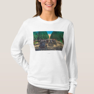 Model-T Fords on Kearney AvenueFresno, CA T-Shirt