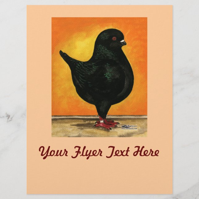 Modena Black Schietti Pigeon Flyer (Front)