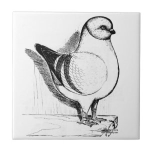 Modena Gazzi Pigeon 1978 Ceramic Tile