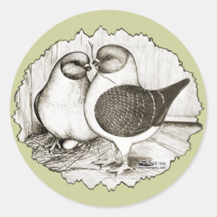 Modena Gazzi Pigeons Classic Round Sticker