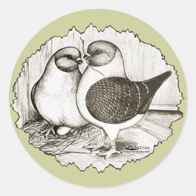Modena Gazzi Pigeons Classic Round Sticker (Front)