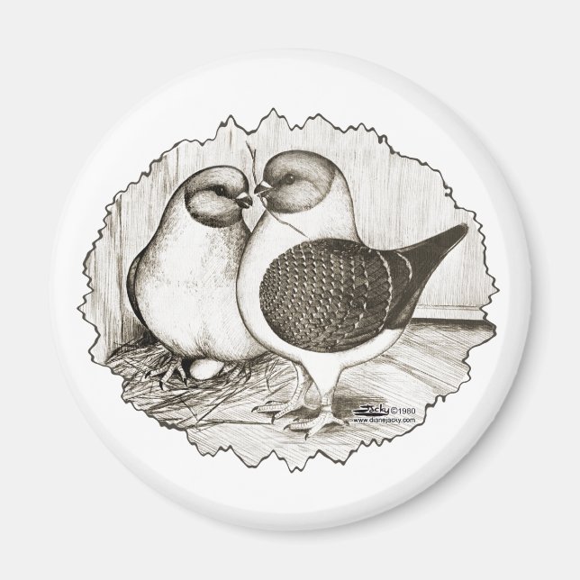 Modena Gazzi Pigeons Magnet (Front)