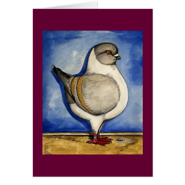 Modena Silver Gazzi Pigeon (Front)