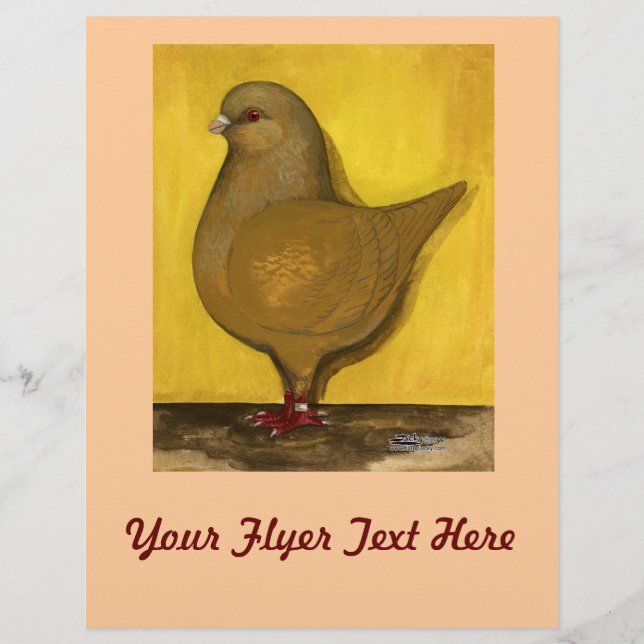 Modena Yellow Schietti Pigeon Flyer (Front)