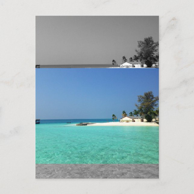 Moderate Sepia Modern Flat Images Effect Postcard (Front)