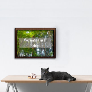 Moderation in all things Inspirational poster