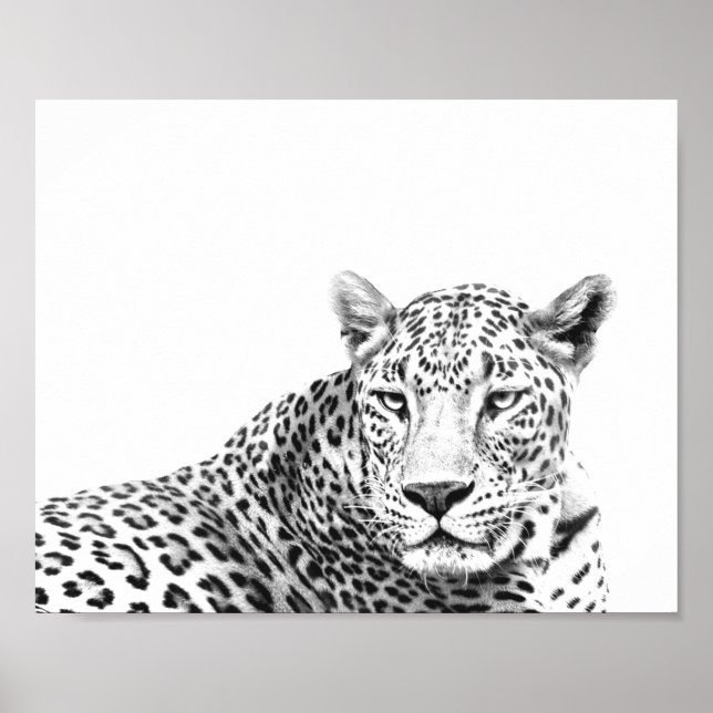 Modern 10x8 inches Black and White Jaguar Poster (Front)