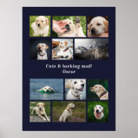 Modern 12 dog photo personalised collage