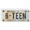 MODERN 16th Birthday BOY Car LICENSE Plate Rusty